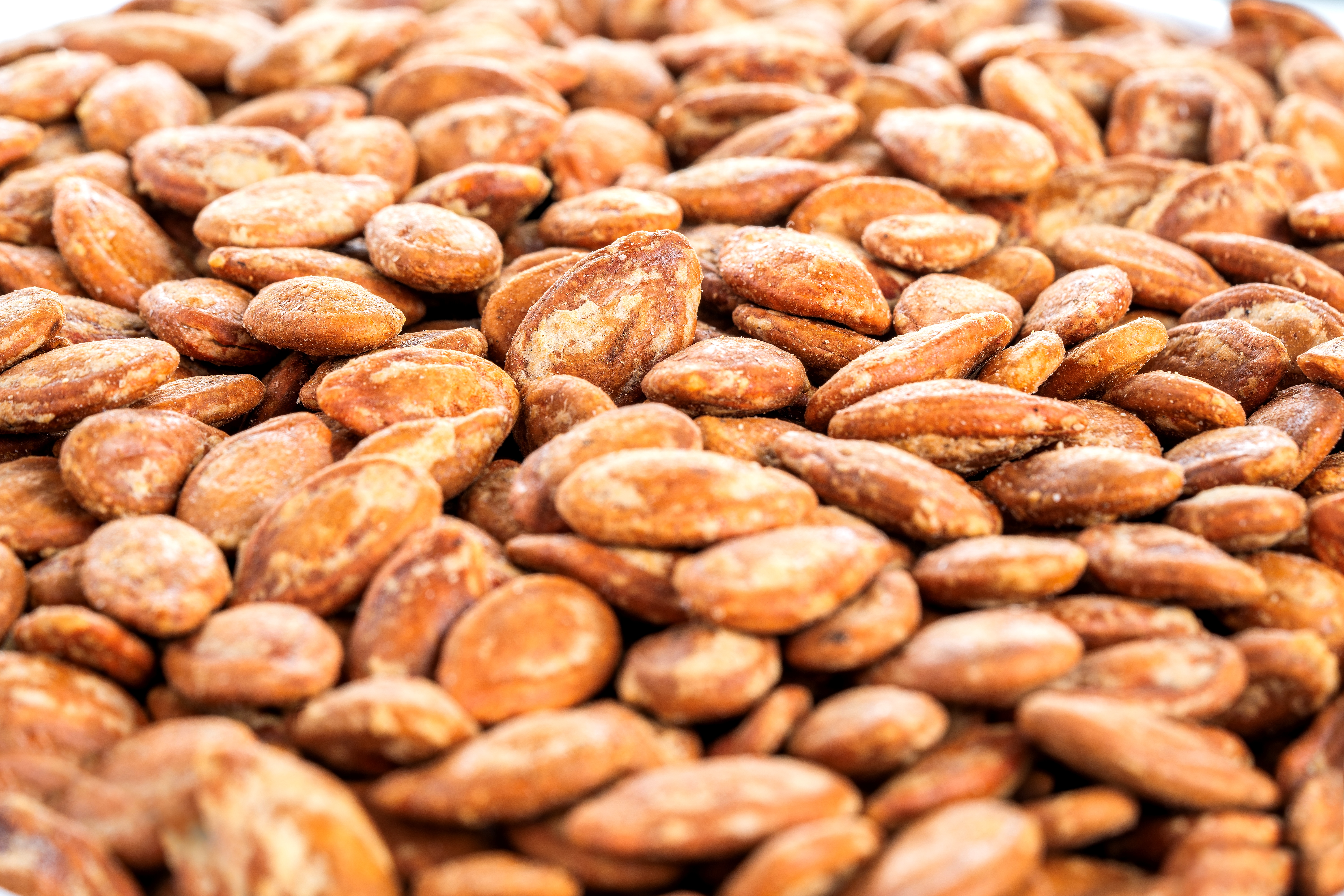 تخمه ژاپنی